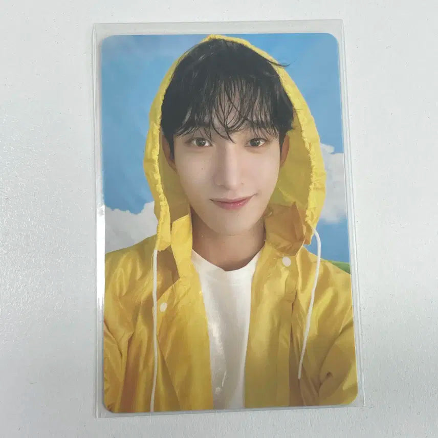 세븐틴 도겸 음악의신 캐럿반 포카 포토카드