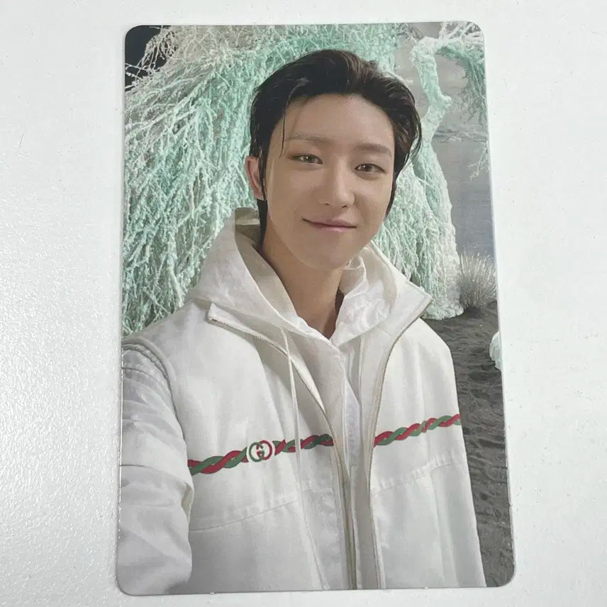 세븐틴 디에잇 섹터17 앨범 포카 포토카드