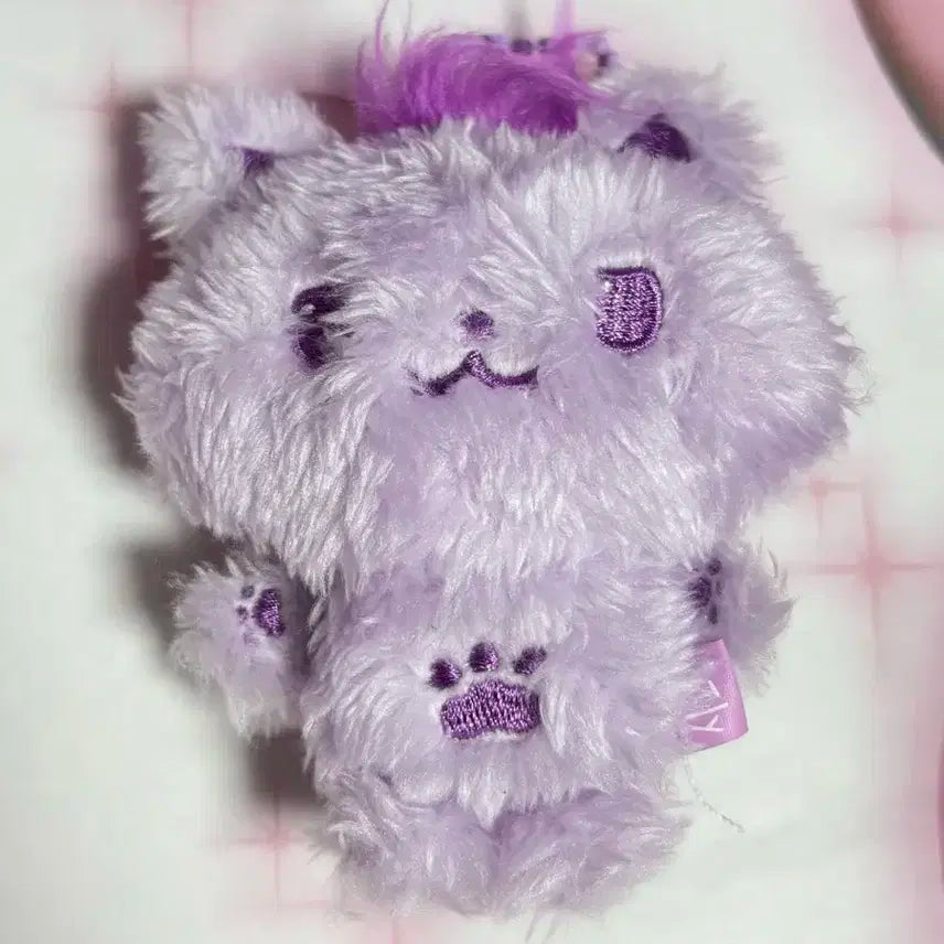 엔시티위시 컬러위시돌 퍼플 보라시오닝 윗부부 양도