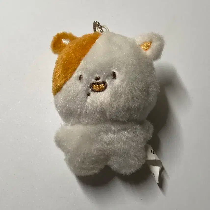 엔시티 지성 인형 포켓찌