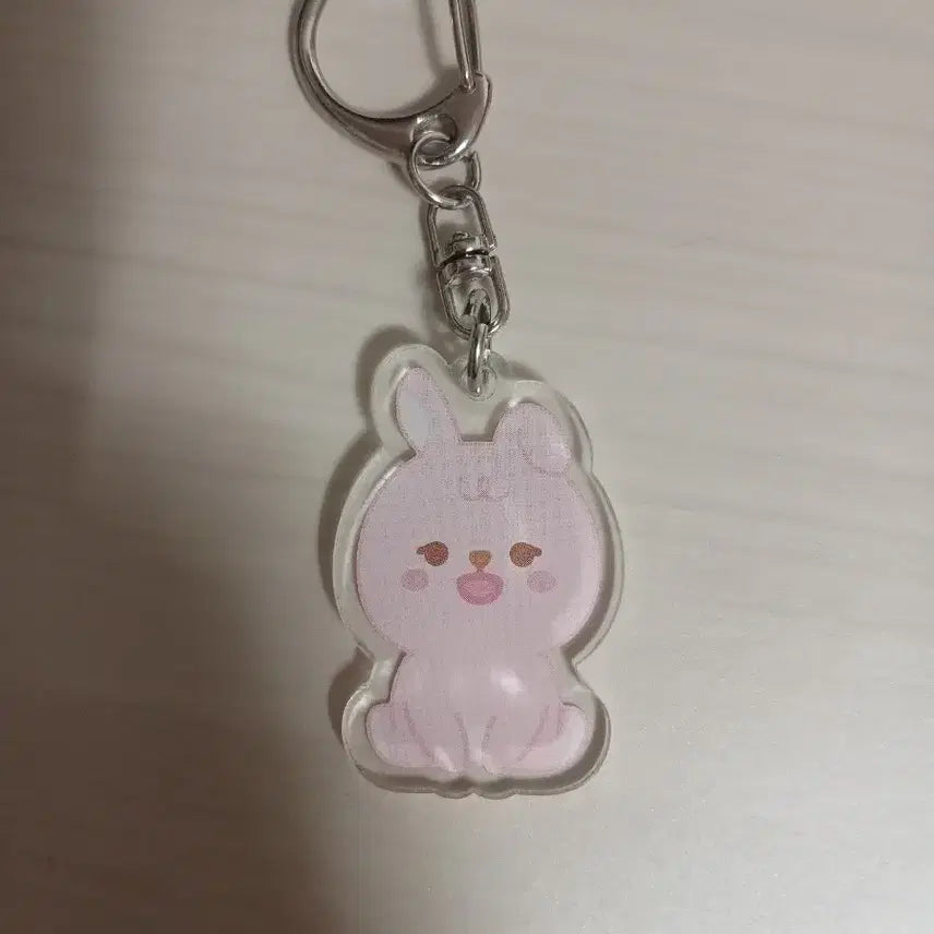 데이식스 데니멀즈 쁘띠멀즈 필끼 아크릴 키링 양도