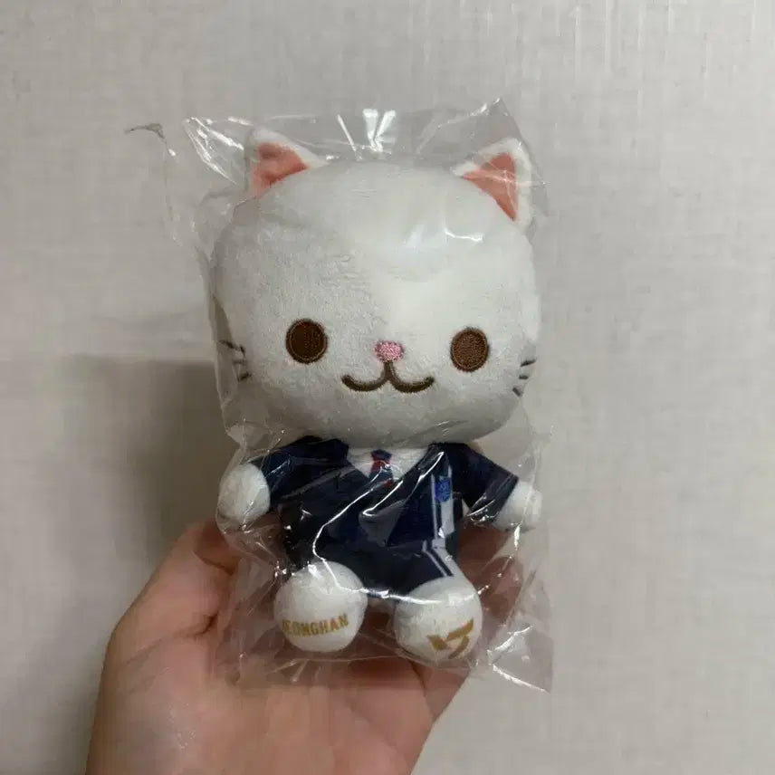 세븐틴 정한 일본 드림 고양이