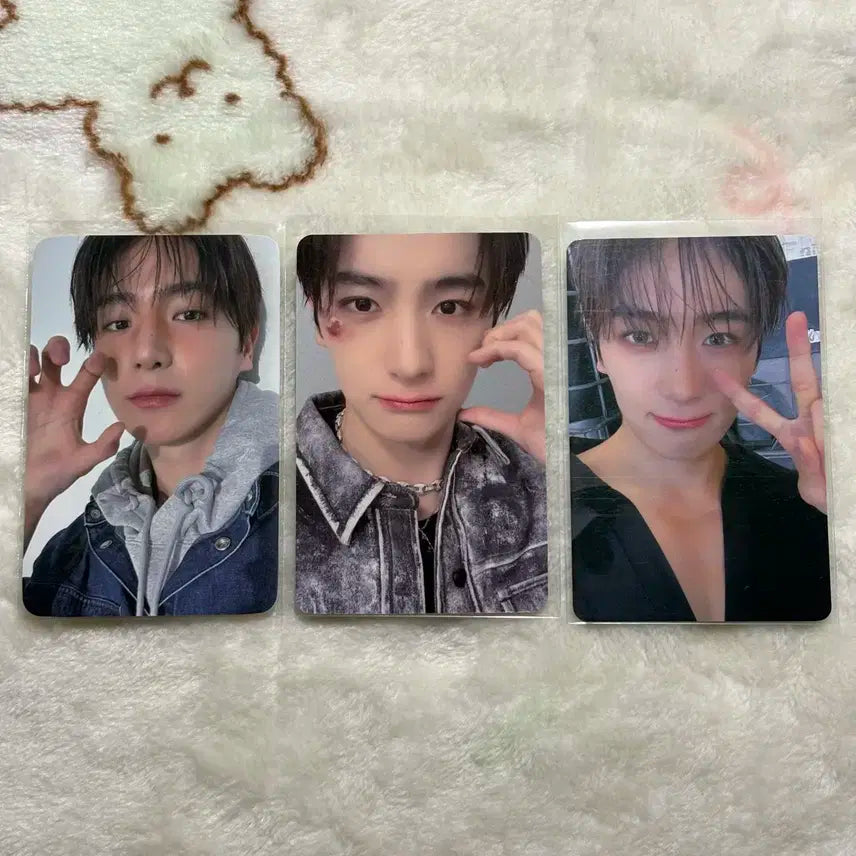 더보이즈 현재 vvv 덥즈서클 트리거 믕믕하트 포토이즘 미공포 일괄