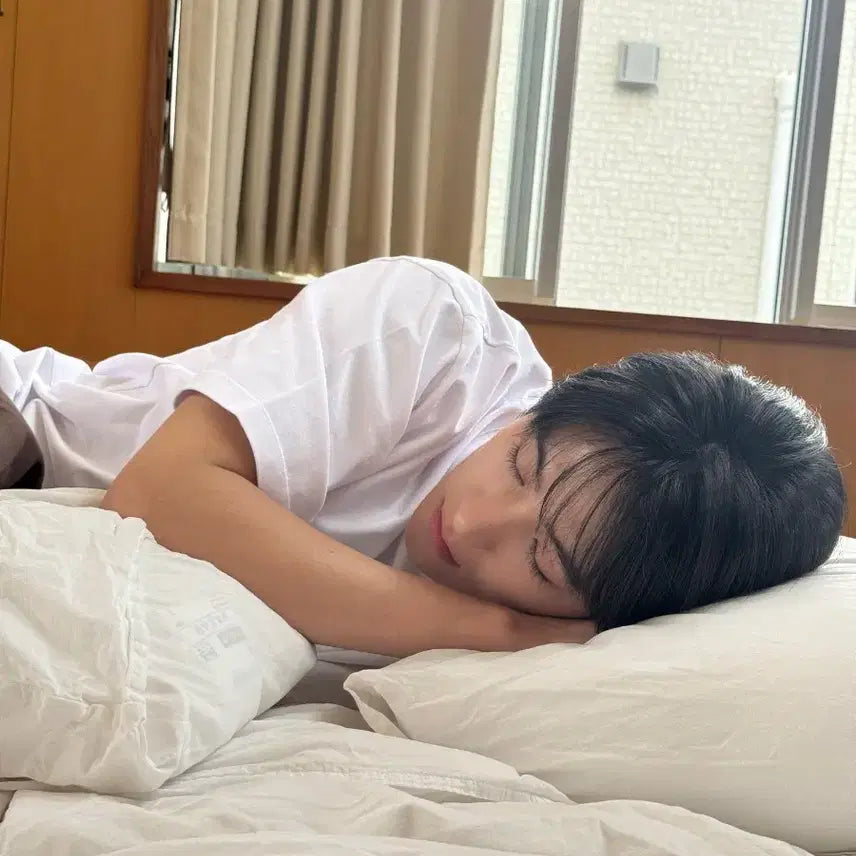 현재 횬도리 인형 판매