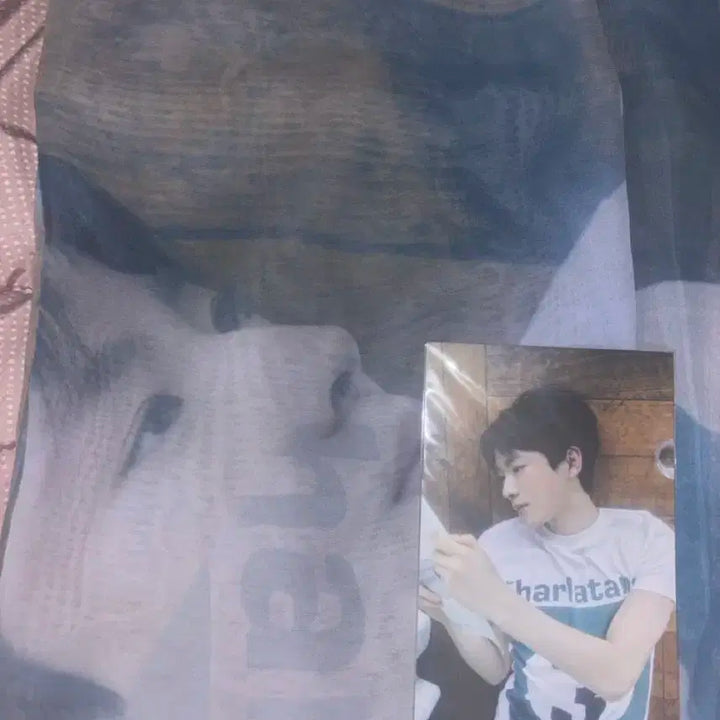 엔시티위시 전시회 유우시 패브릭포스터 양도 포카 덤o!!!