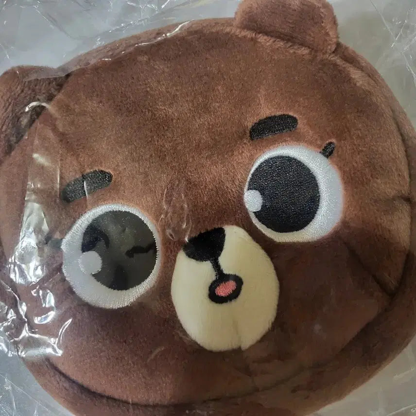 데이식스 일본 엠디 파우치 방