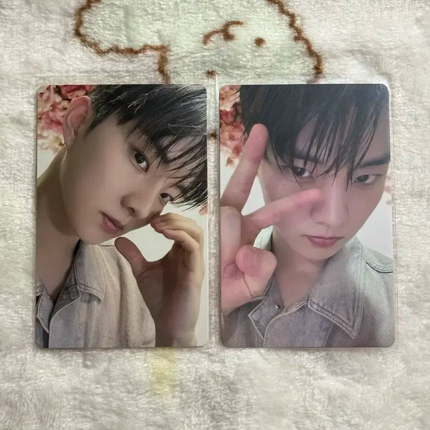 더보이즈 큐 질스튜어트 뷰티 포카 일괄