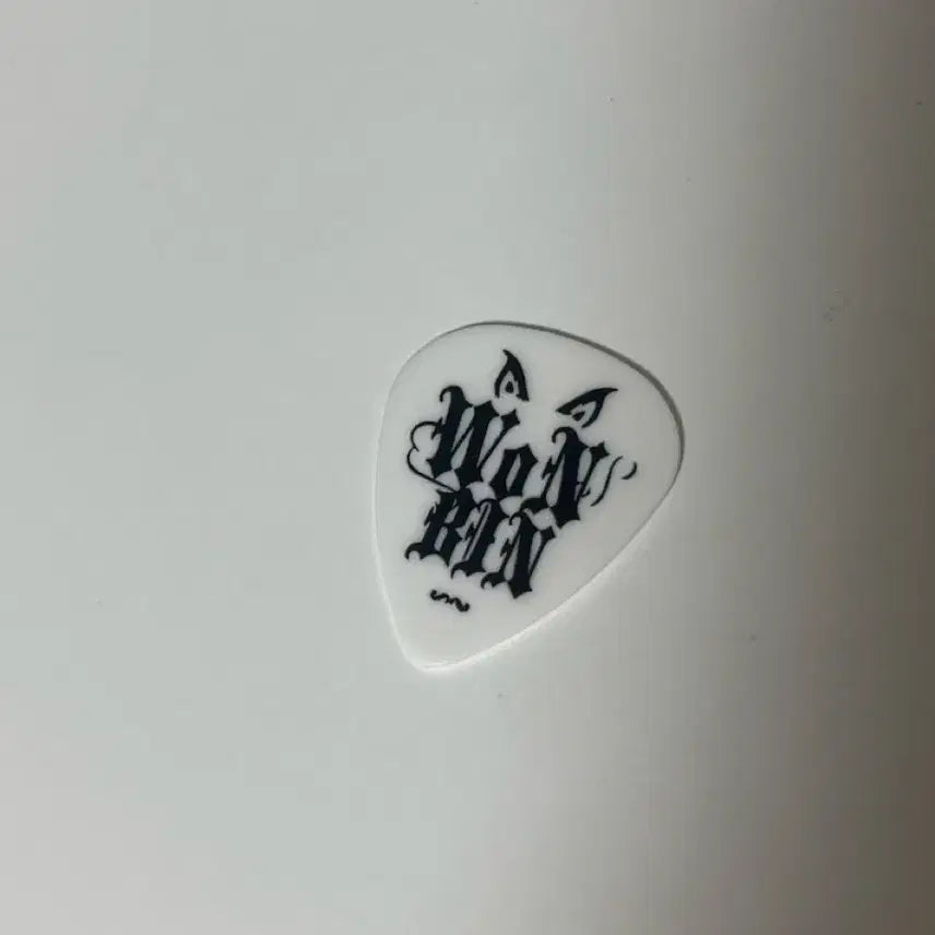 라이즈 원빈 기타 피크 판매 박원빈