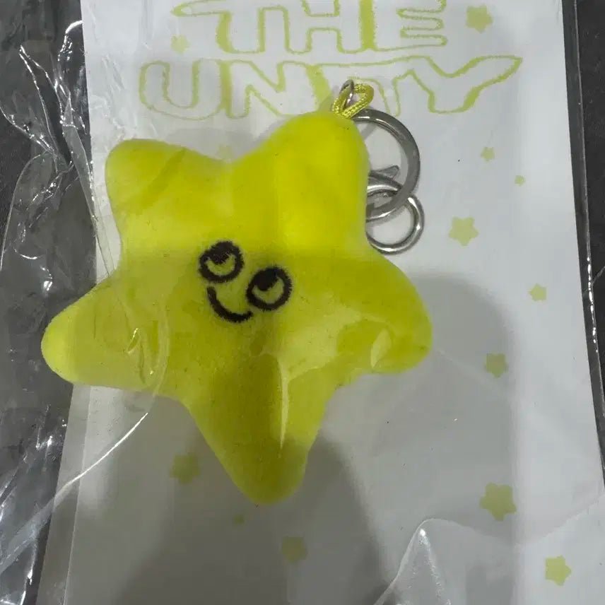 엔시티 태용 불가사리 인형 양도