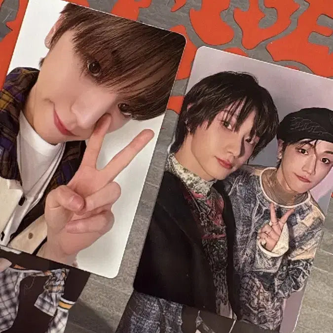 보넥도 포카 일괄 리우 성호 노장르 앨포 듀얼 상성즈