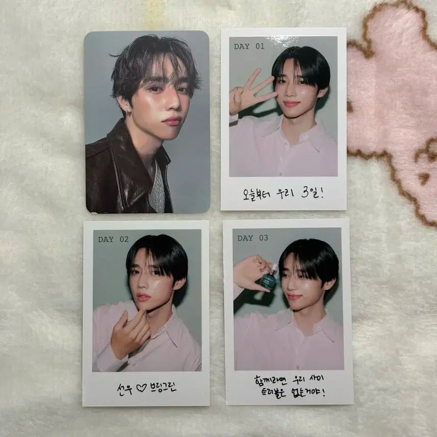 더보이즈 선우 브링그린 포카 일괄