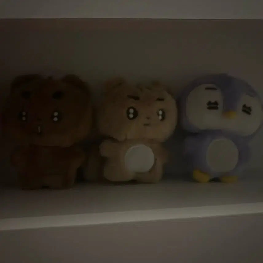 투모로우바이투게더 뽀바투