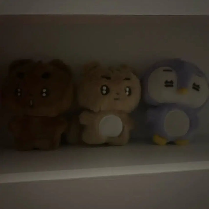 투모로우바이투게더 뽀바투