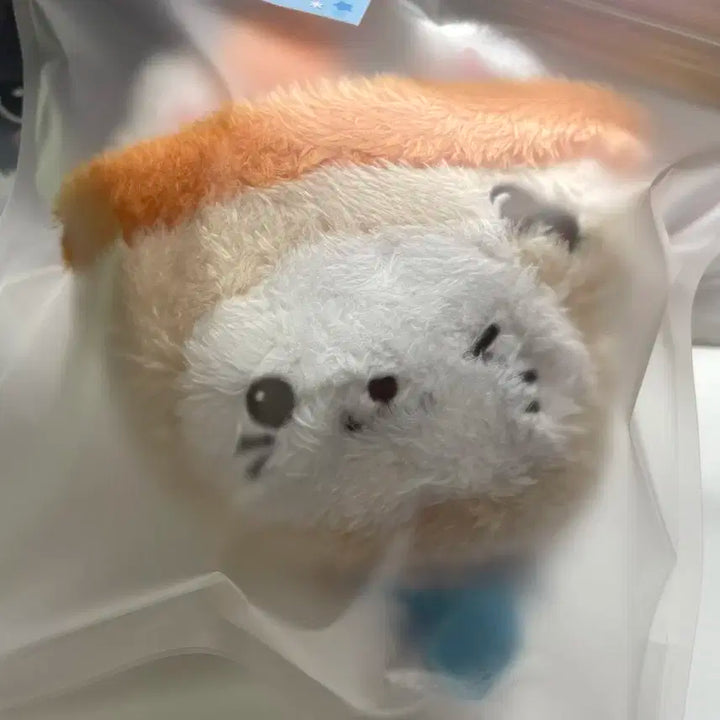 (미개봉) 위시돌 버블냥 초판 엔시티위시 유우시