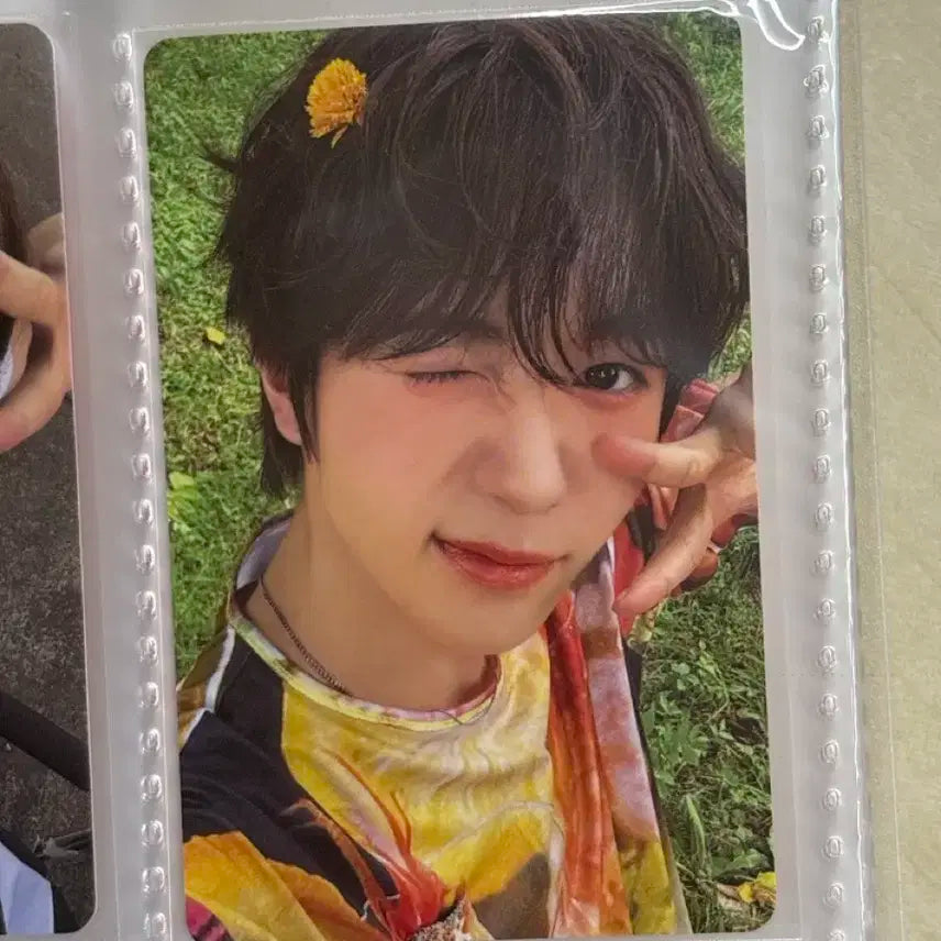 컬러 료 초회한정반 포카