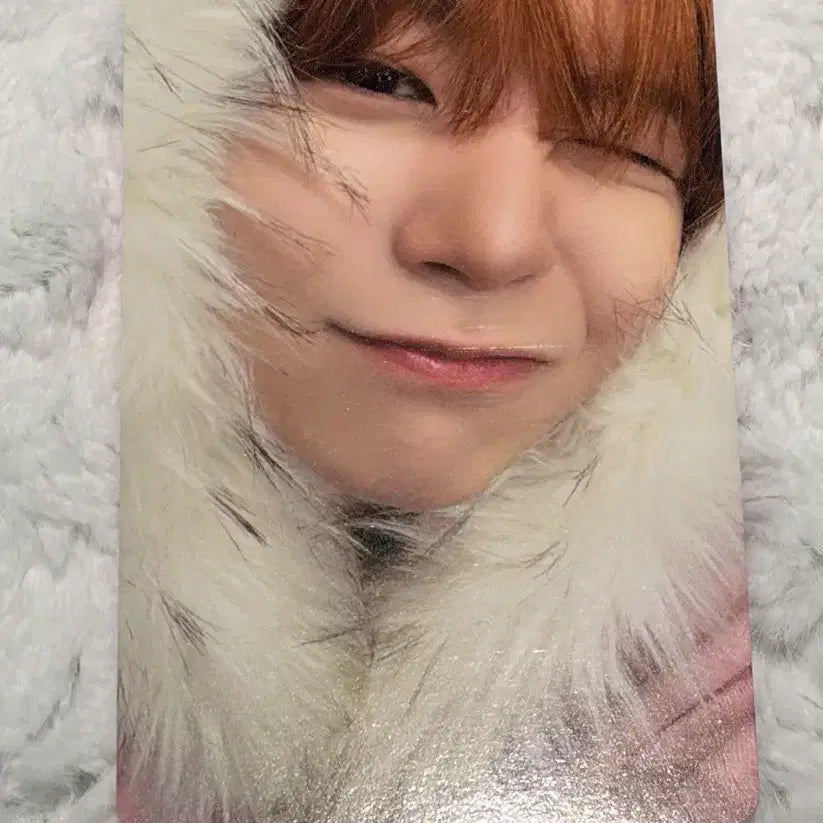 엔시티 위시 nct wish 컬러 포토북 료 미라클 초회한정 포카