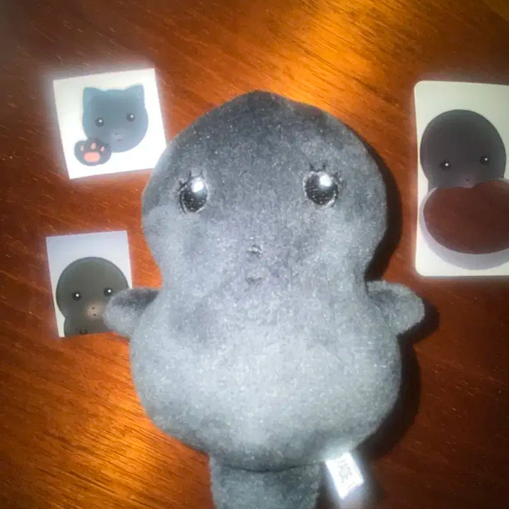 띠더지 나띠 키스오브라이프 인형 양도