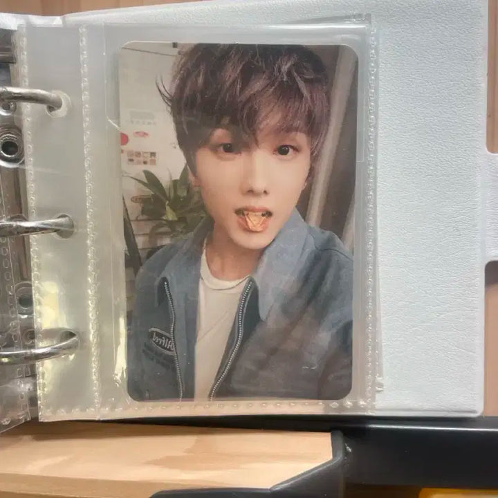 Nct 지성 포카 바인더 포함