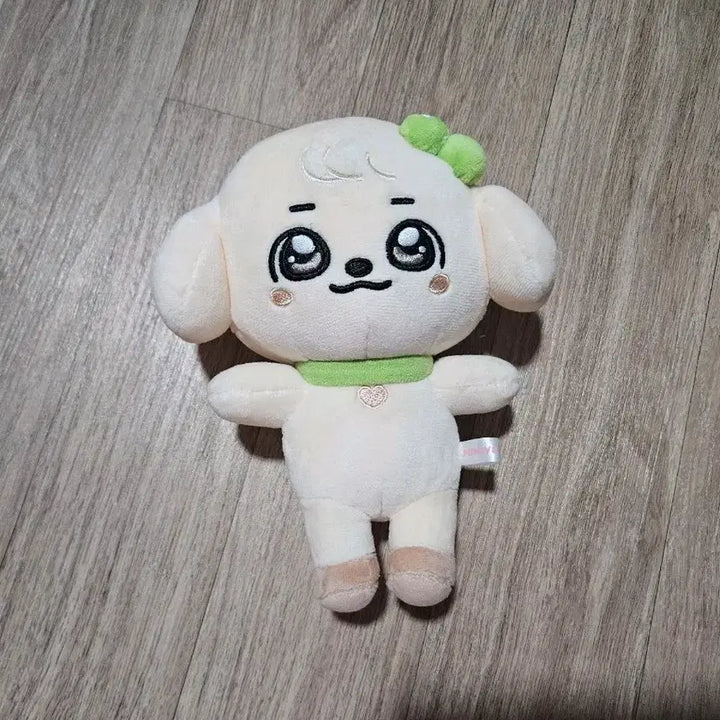 아이브 미니브 오리지널 강안지  판매합니다. 새상품