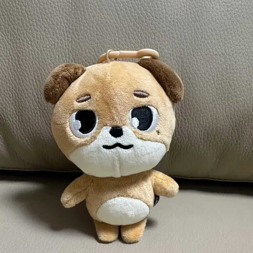 데이식스 24데니멀즈 돈 (구버전)