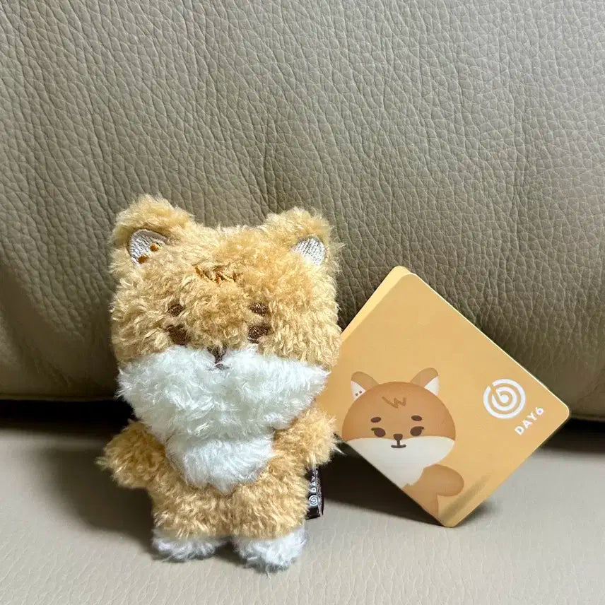 데이식스 쁘멀 마그넷 케