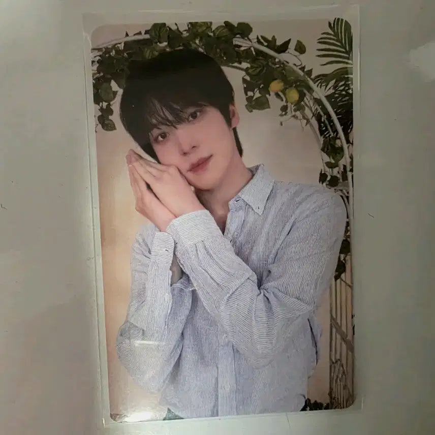 마이티즈 에이티즈 팝업 - 5만원 포카 윤호 버전