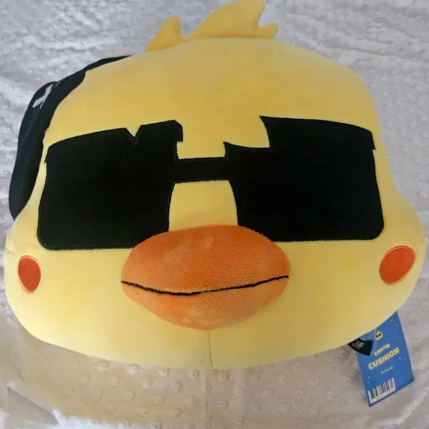 2PM 투피엠 ZooPM 장우영 Pi Young