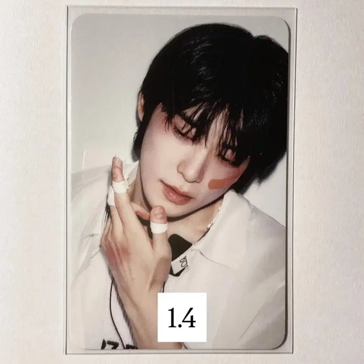 엔시티 포카 일괄판매 양도