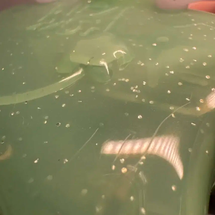 급처) 엔시티 위시 스테디 위츄 메모리 키링