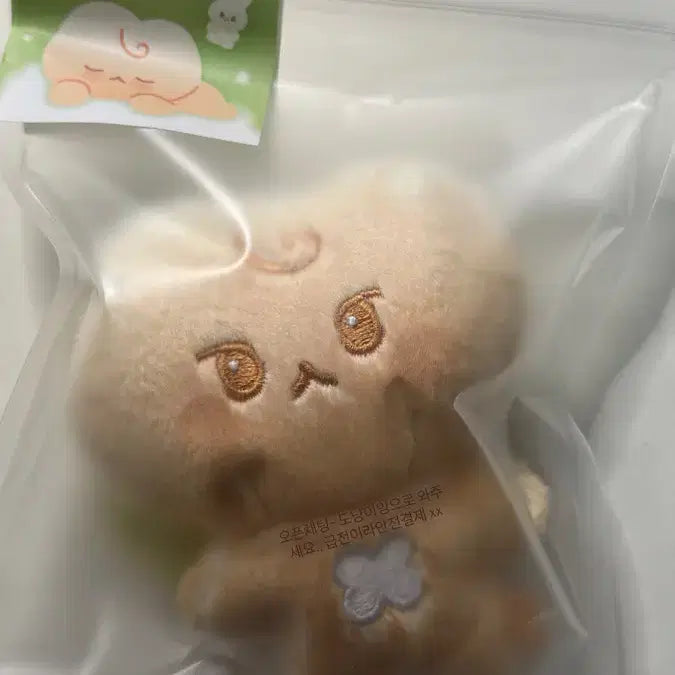 솜뭉칠 SOM MOONG CHILL 인형 봉제인형 도영 도궁빵 양도