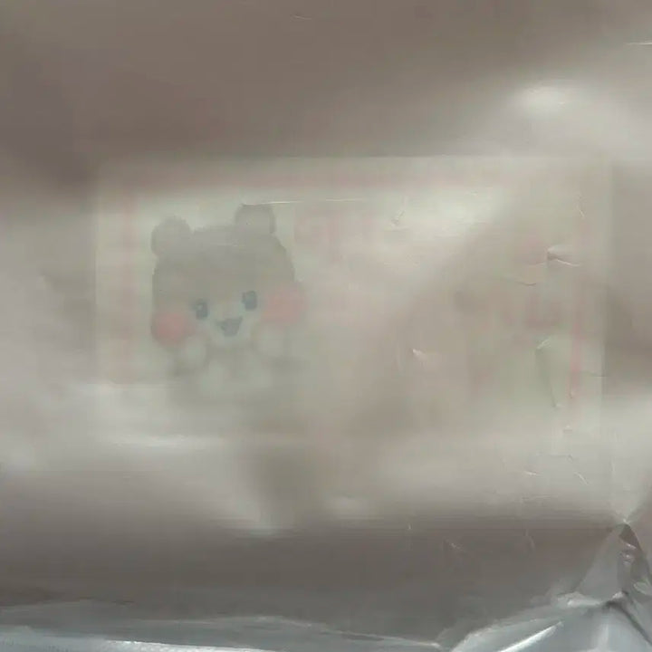 스파오 비니니 제로니 노트북 파우치 제로베이스원 제베원 성한빈