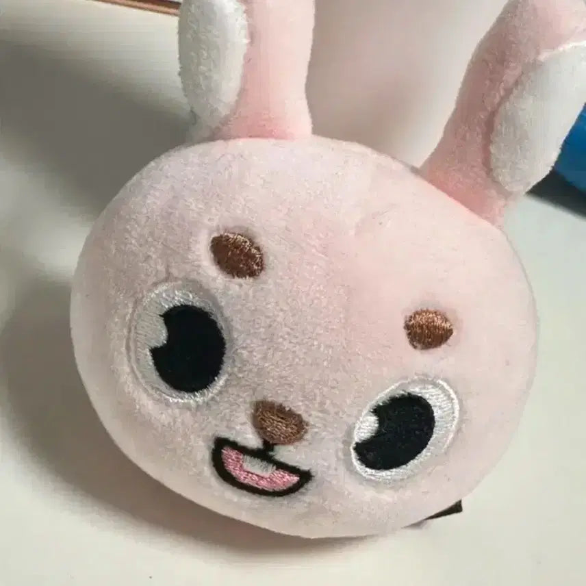 데이식스 스트레스볼 원필 데니멀즈 필 필끼