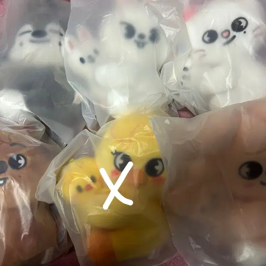 스키주 마그넷 플러시 세트 스키즈 앙콘 엠디