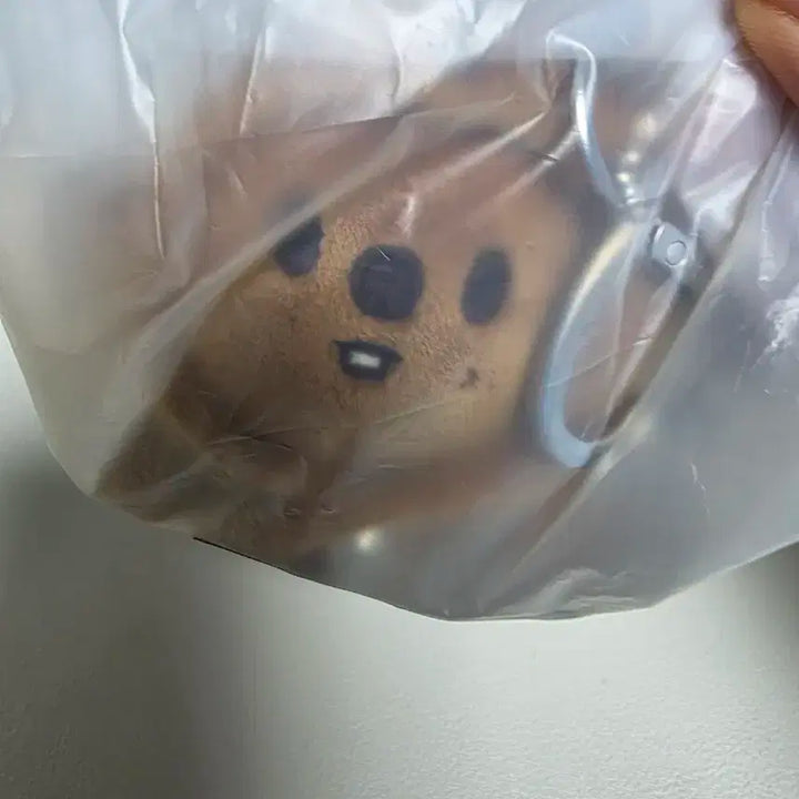 스트레이키즈 한쿼카 celebrATE 키링 라잉버전 앉은버전