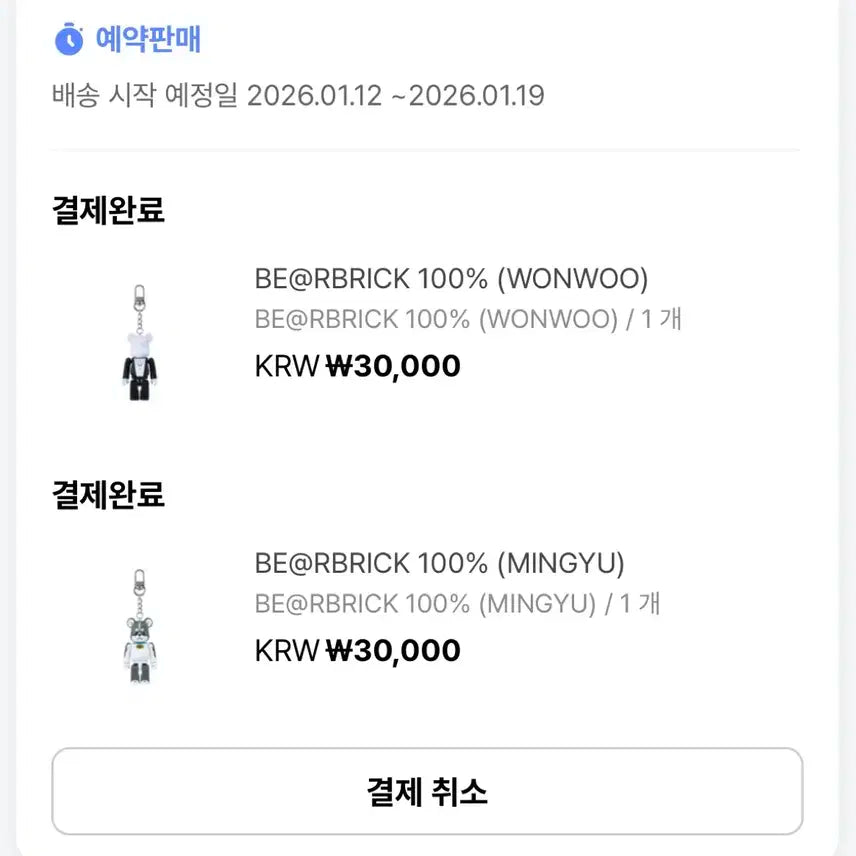 세븐틴 베어브릭 키링 100% 원우 민규 양도