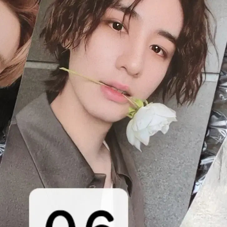 보넥도 디액션 위버스 특전 이한 포카 양도