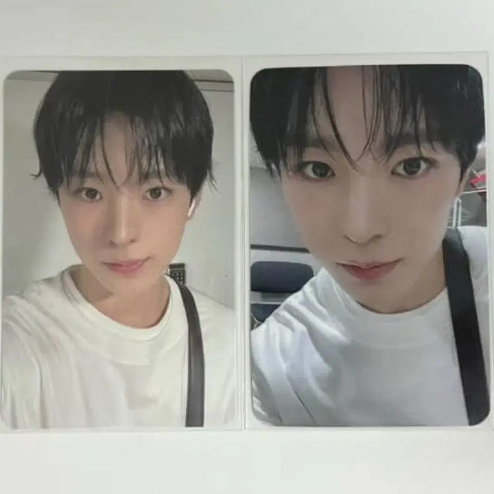 엔시티위시 유우시 포카 판매 양도 교환 나눔 분철 송버드 일괄판매