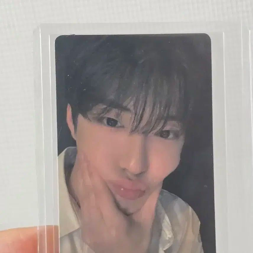 보플 정상현 아궁빵 포카