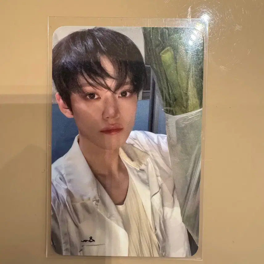 엔시티드림 천러 싱가포르 하우스오브케이팝 럭드