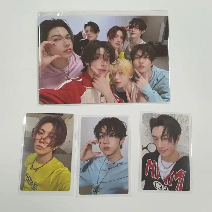 엔하이픈 로맨스 쇼케이스 라이브 위버스 특전 포카