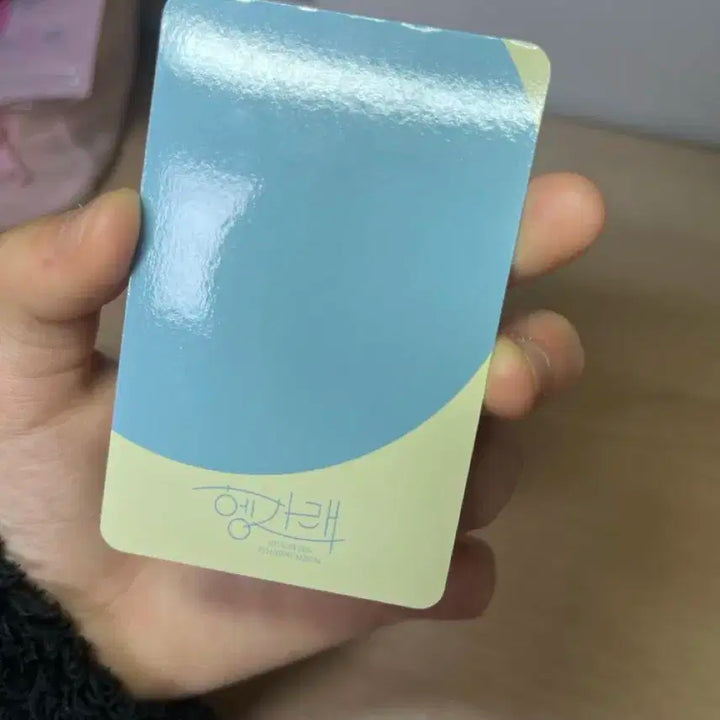 헹가래 둘 정한 포카 양도