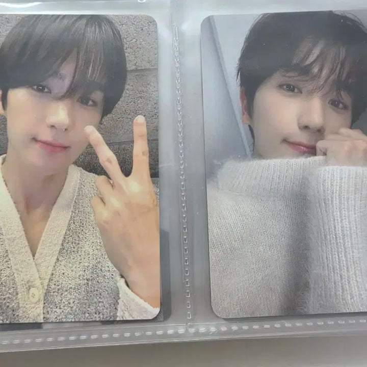 더보이즈 현재 엠플앤 엠플엔 포카&증명사진 양도