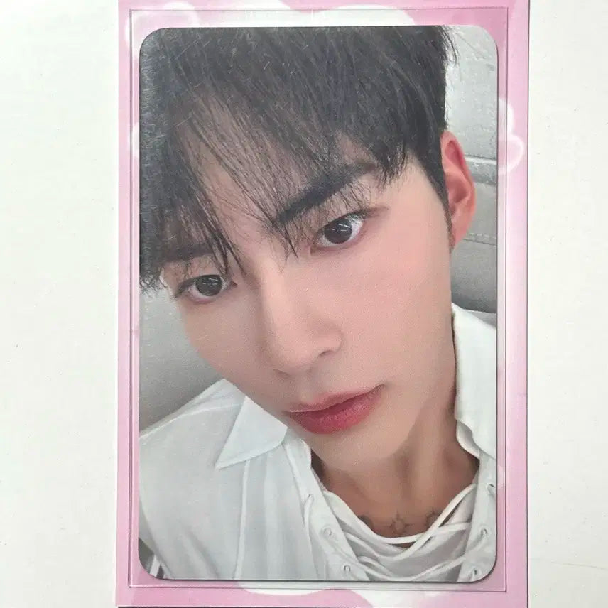 제베원 성한빈 포카 더현대 팝업 엠디 여권 포카 제로베이스원