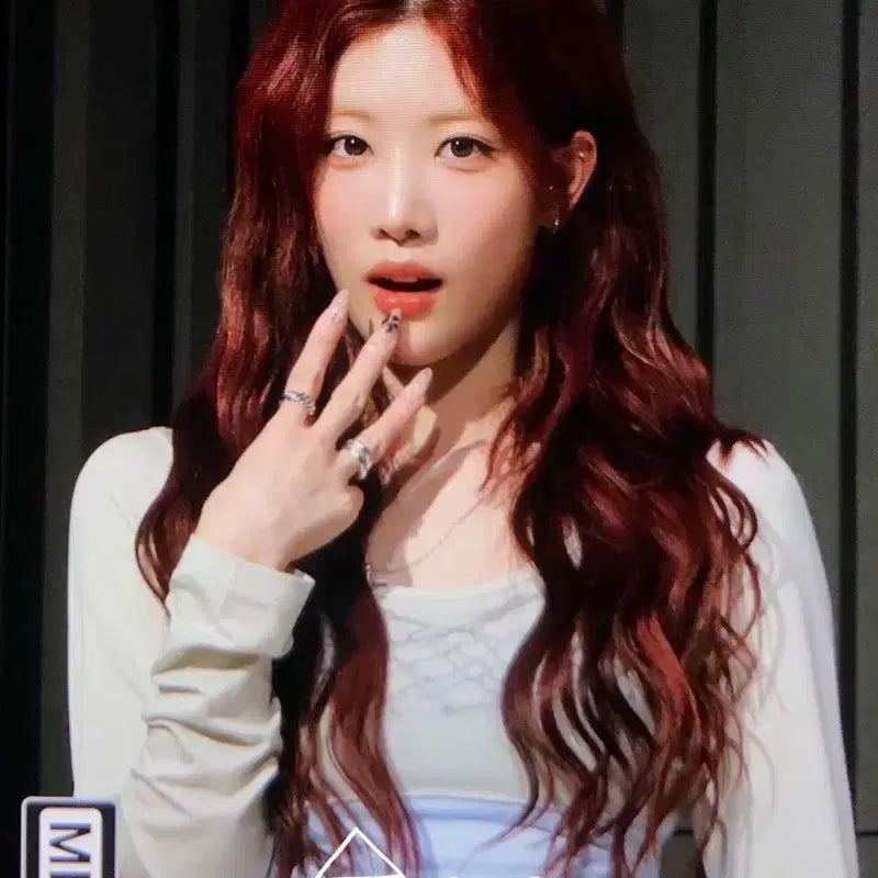 아르테미스 김립 싸인폴라