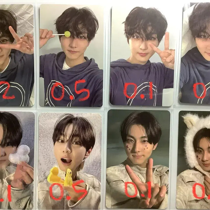 엔하이픈 포카 양도