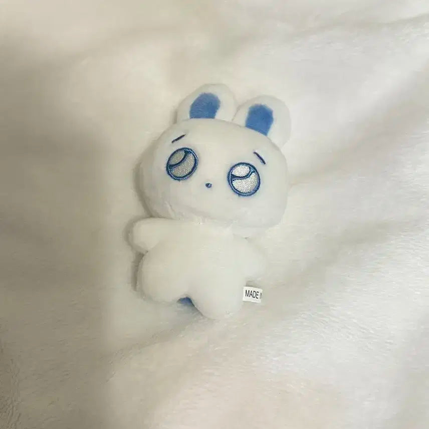 말랑플브 예준