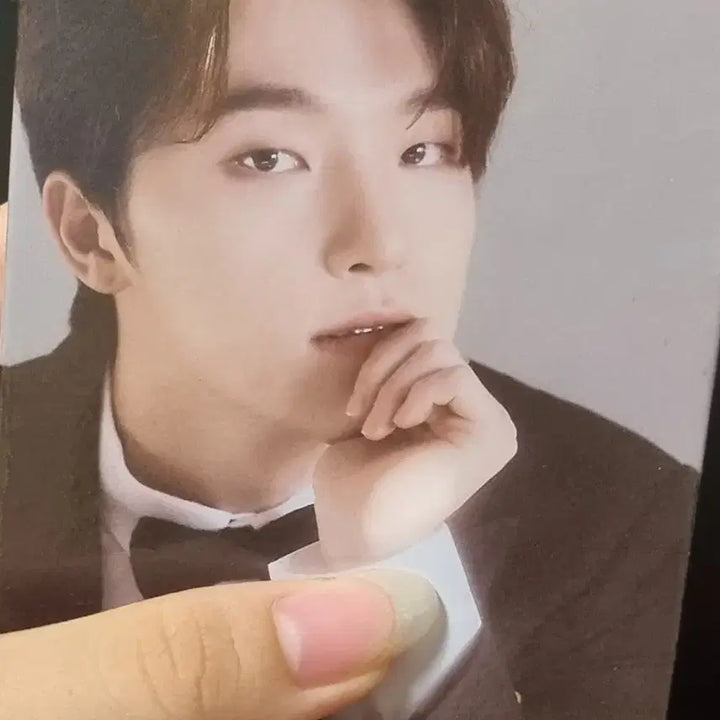 세븐틴 디노 fml 캐럿반 바인더 포카