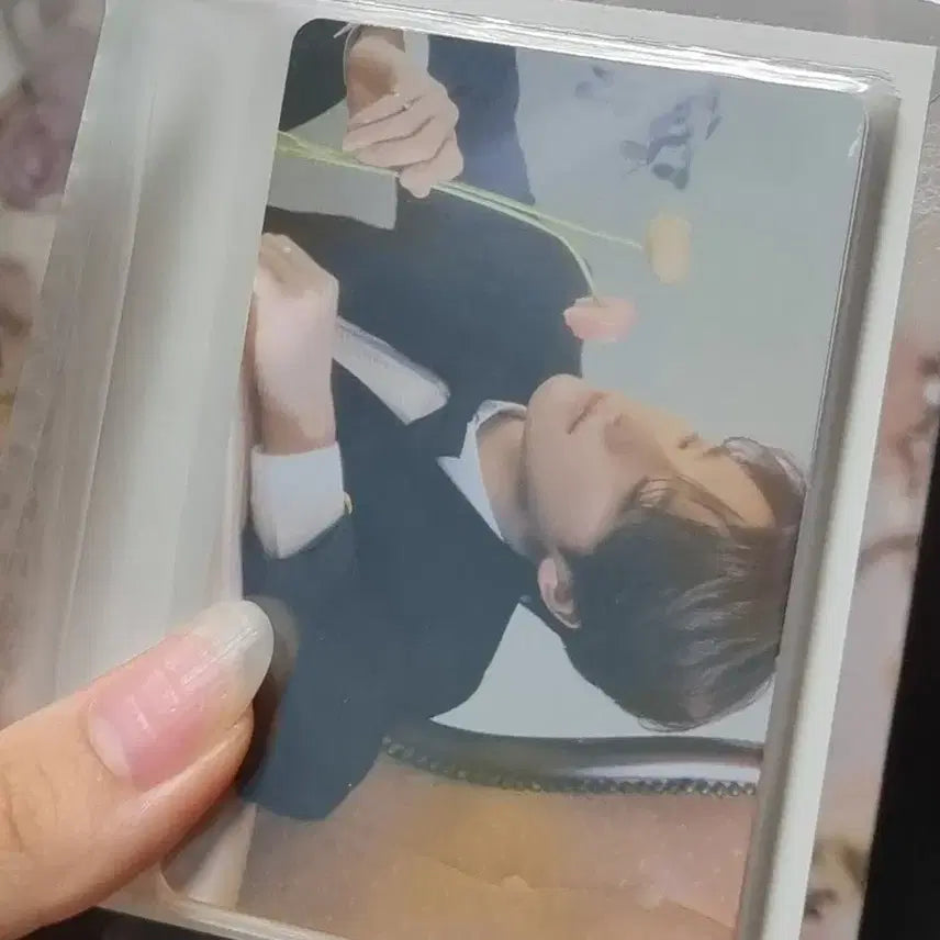 세븐틴 디노 fml 캐럿반 바인더 포카