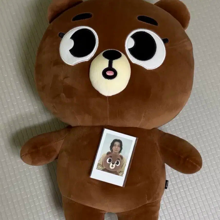 자이언트 데니멀즈 방 A3 아크릴 액자 일괄 데이식스 성진