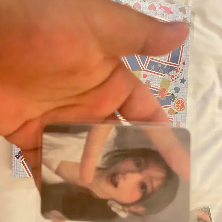 qwer 흰수염고래 한정 lp 일본300장 한정 특전 포카 포함 택포